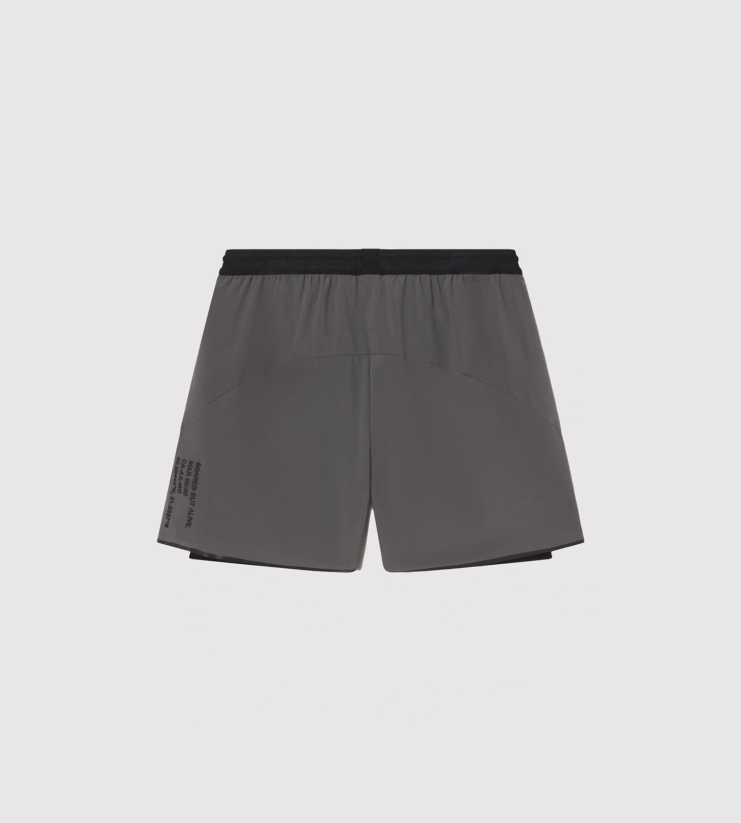 [Color: Carbon Gray] a flat lay image of the Berlin Shorts, back side view