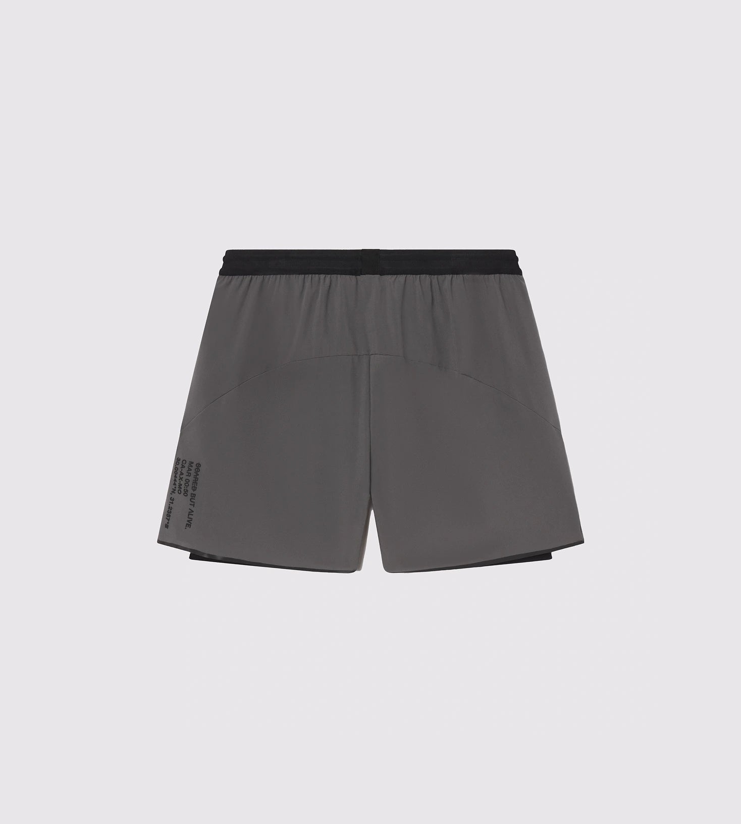 [Color: Carbon Gray] a flat lay image of the Berlin Shorts, back side view