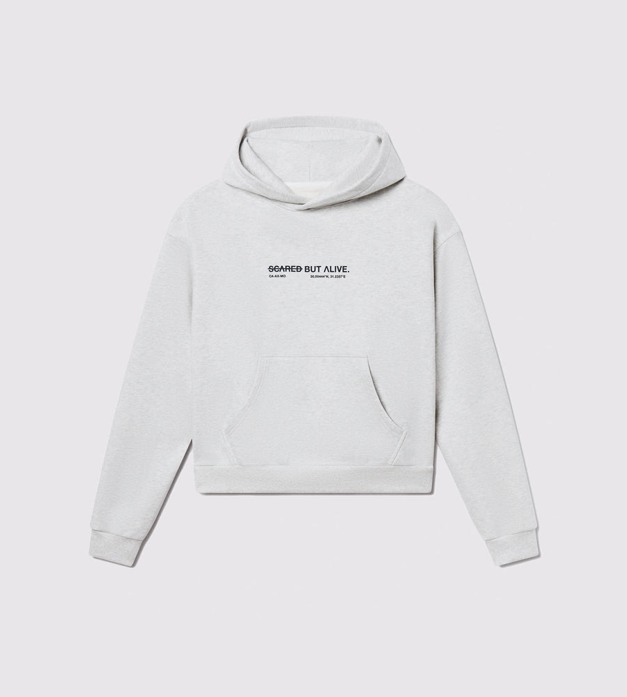 [Color: Grey Matter] Flatlay of the Los Angeles Hoodie