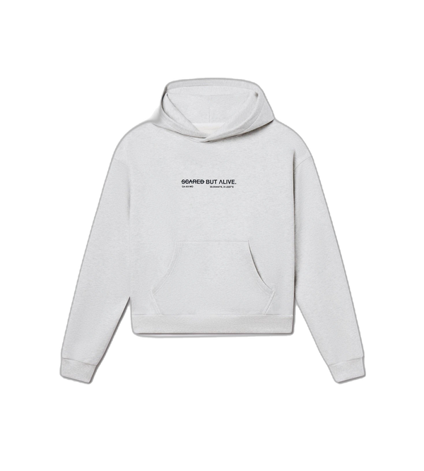 afraid of monsters hoodie LA Hoodie Gray — 560 GSM Heavyweight Cotton Hoodie – Scared But Alive