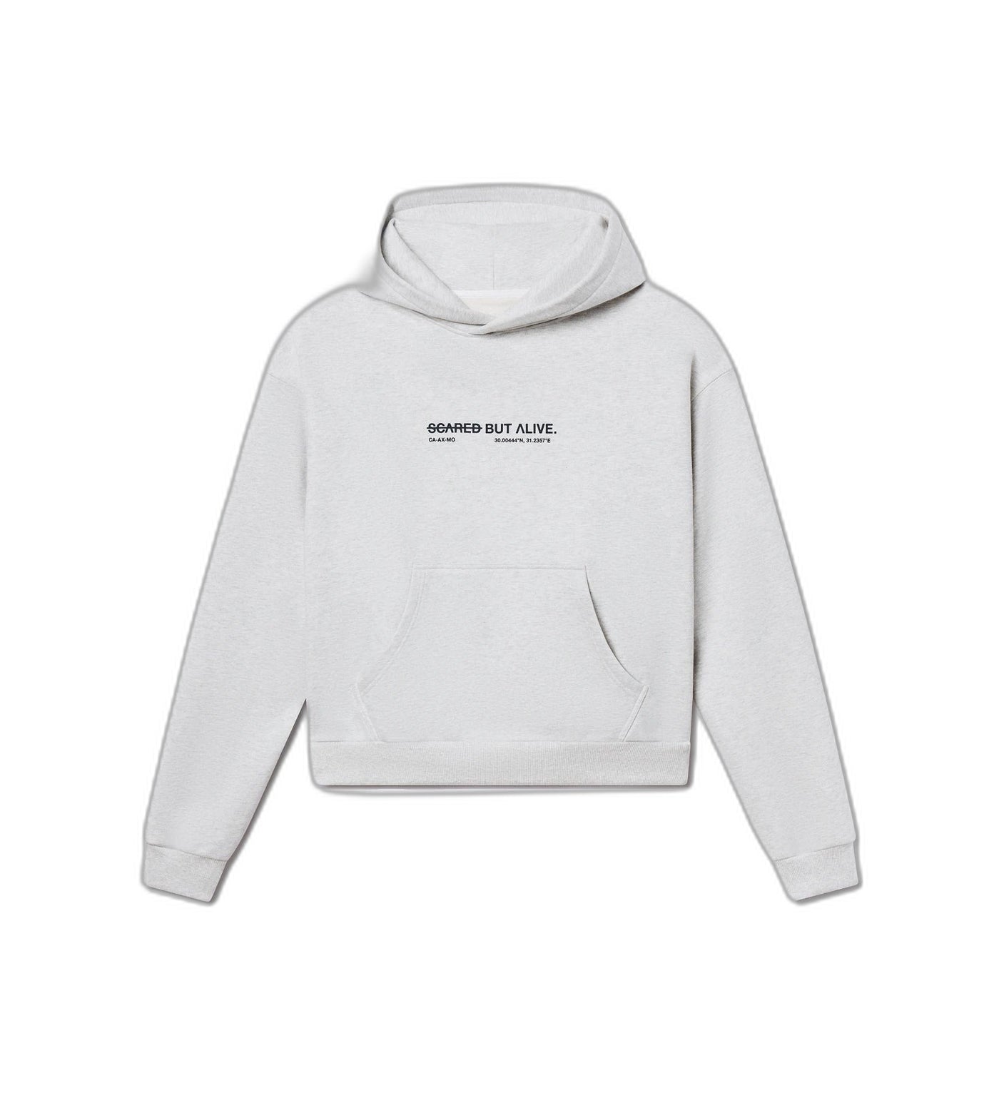 LA Hoodie Gray Matter flat lay front