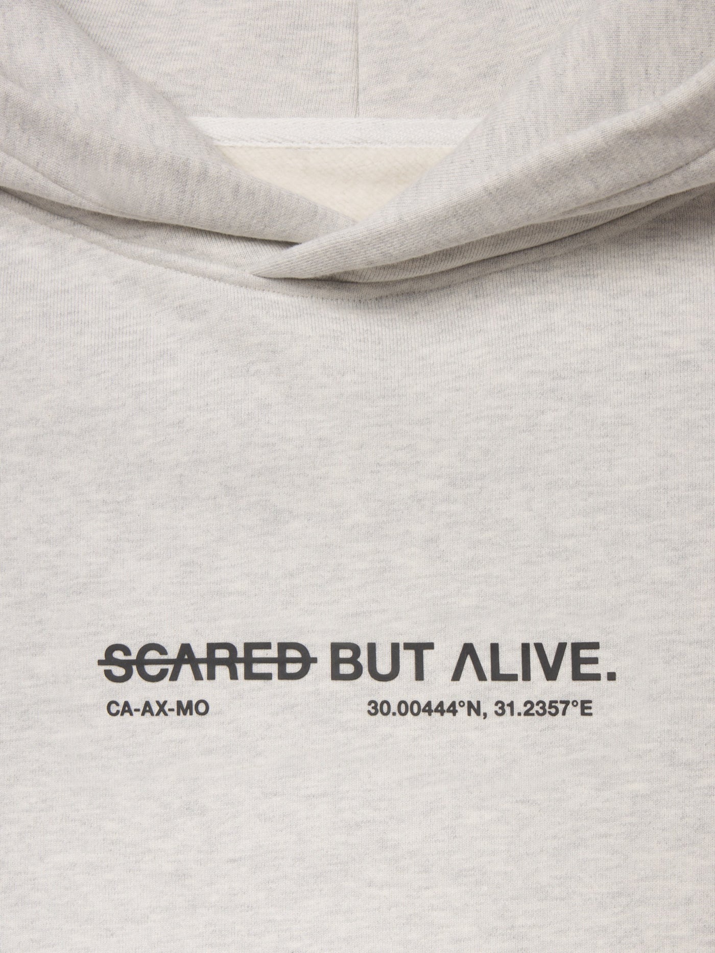 Los Angeles Hoodie Gray Matter fabric and construction flat-lay detail