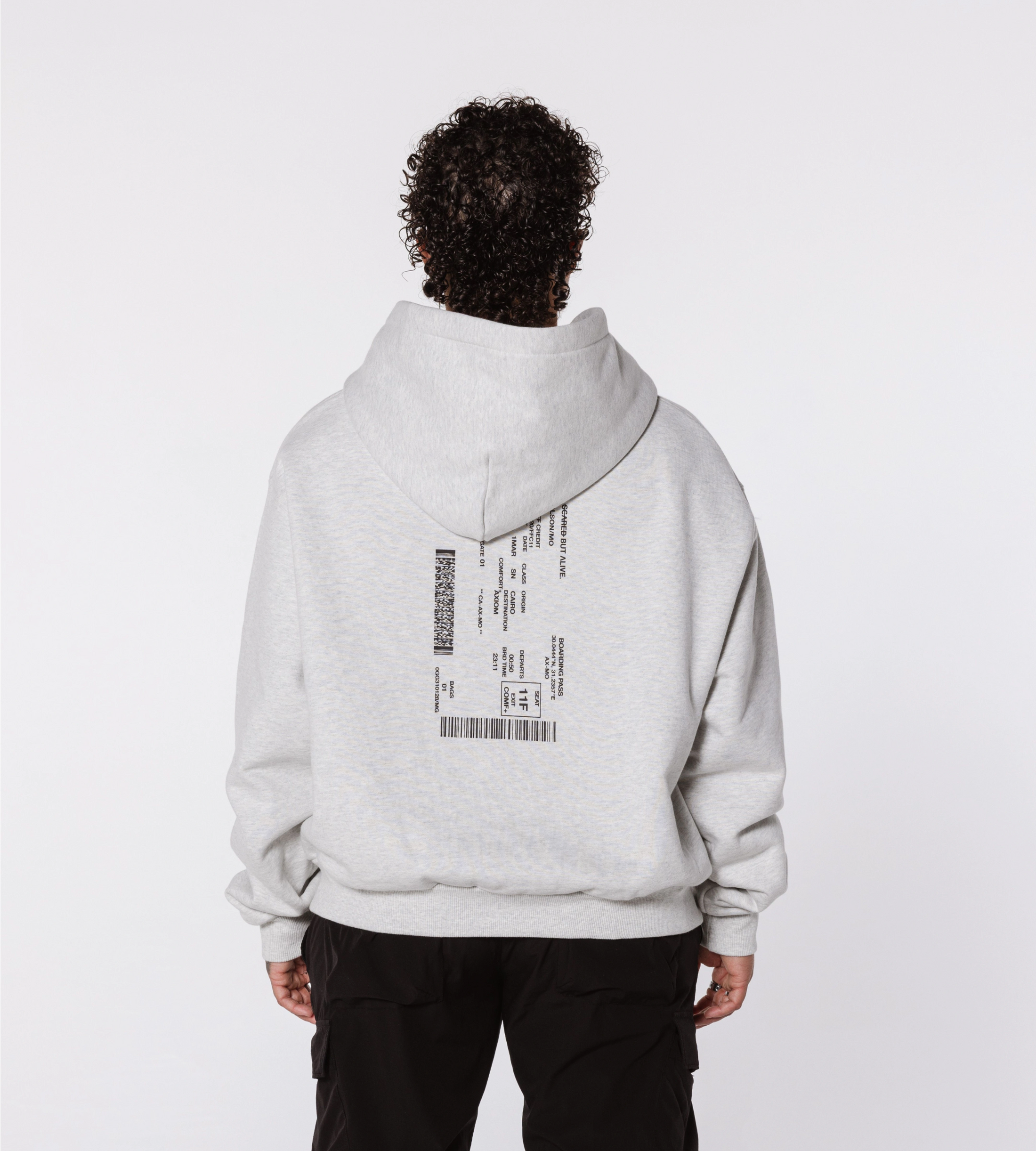 Los Angeles Hoodie Gray Matter back print on body