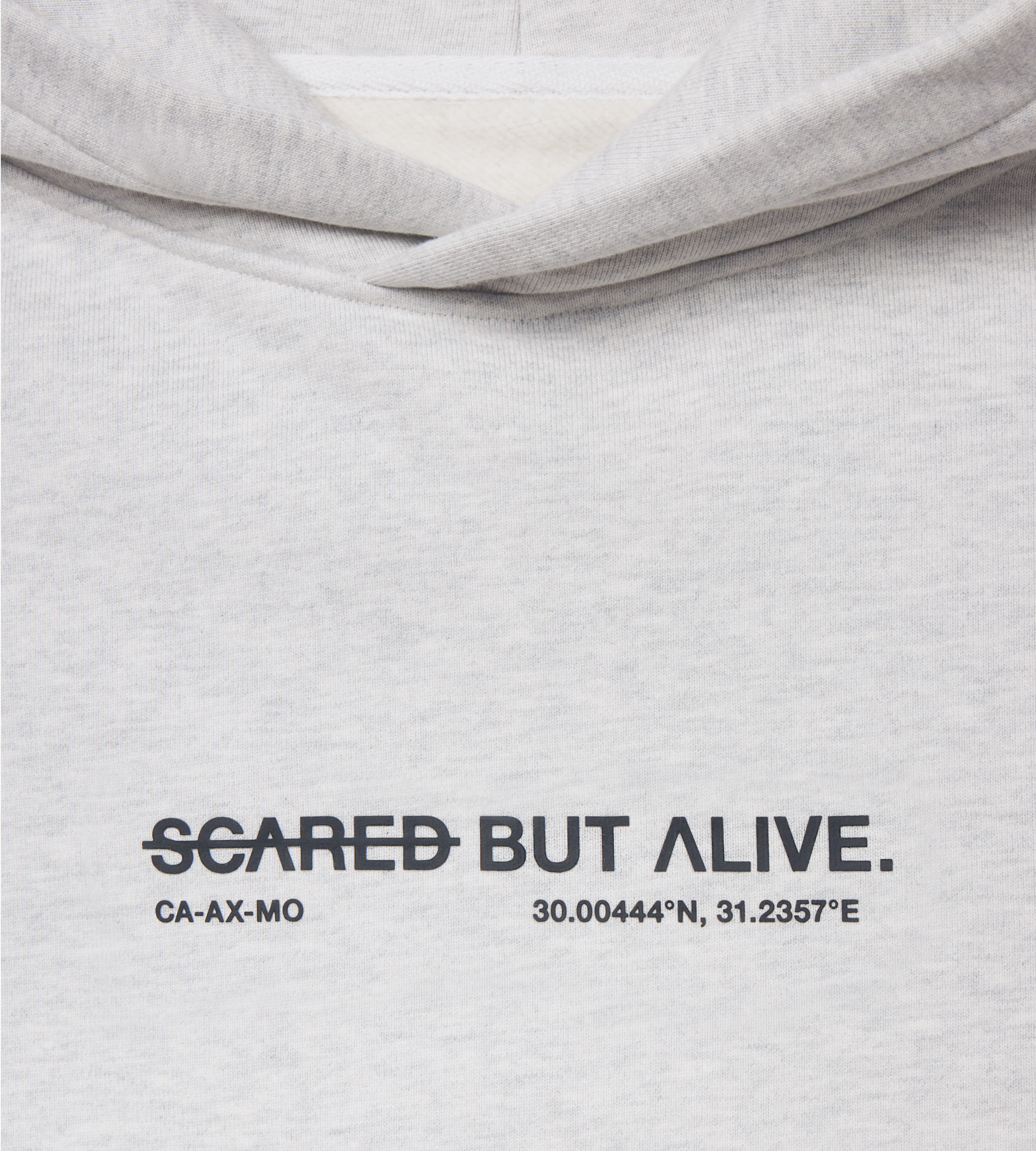Los Angeles Hoodie Gray Matter raised print detail