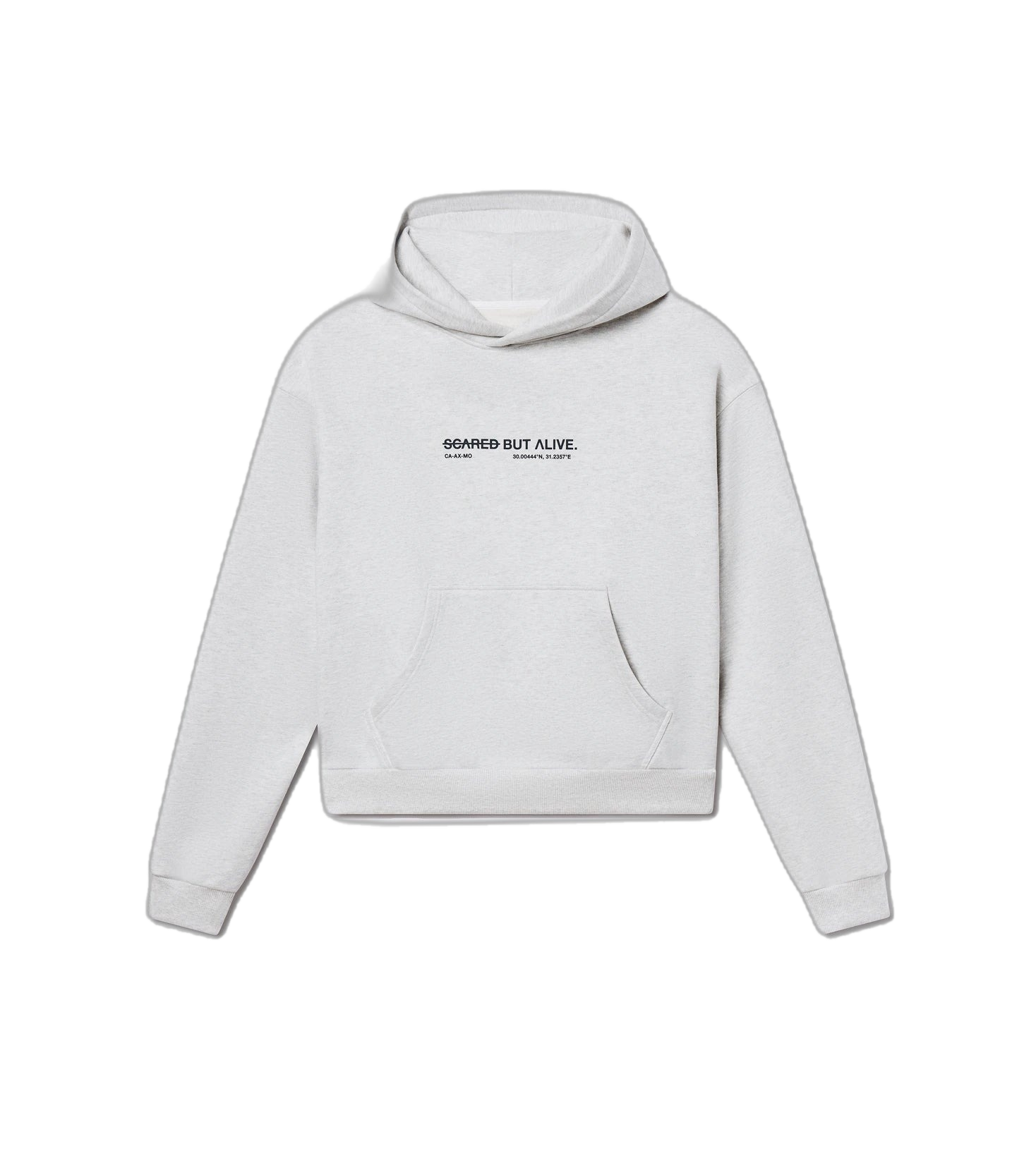 Los Angeles Hoodie Gray Matter front flat lay