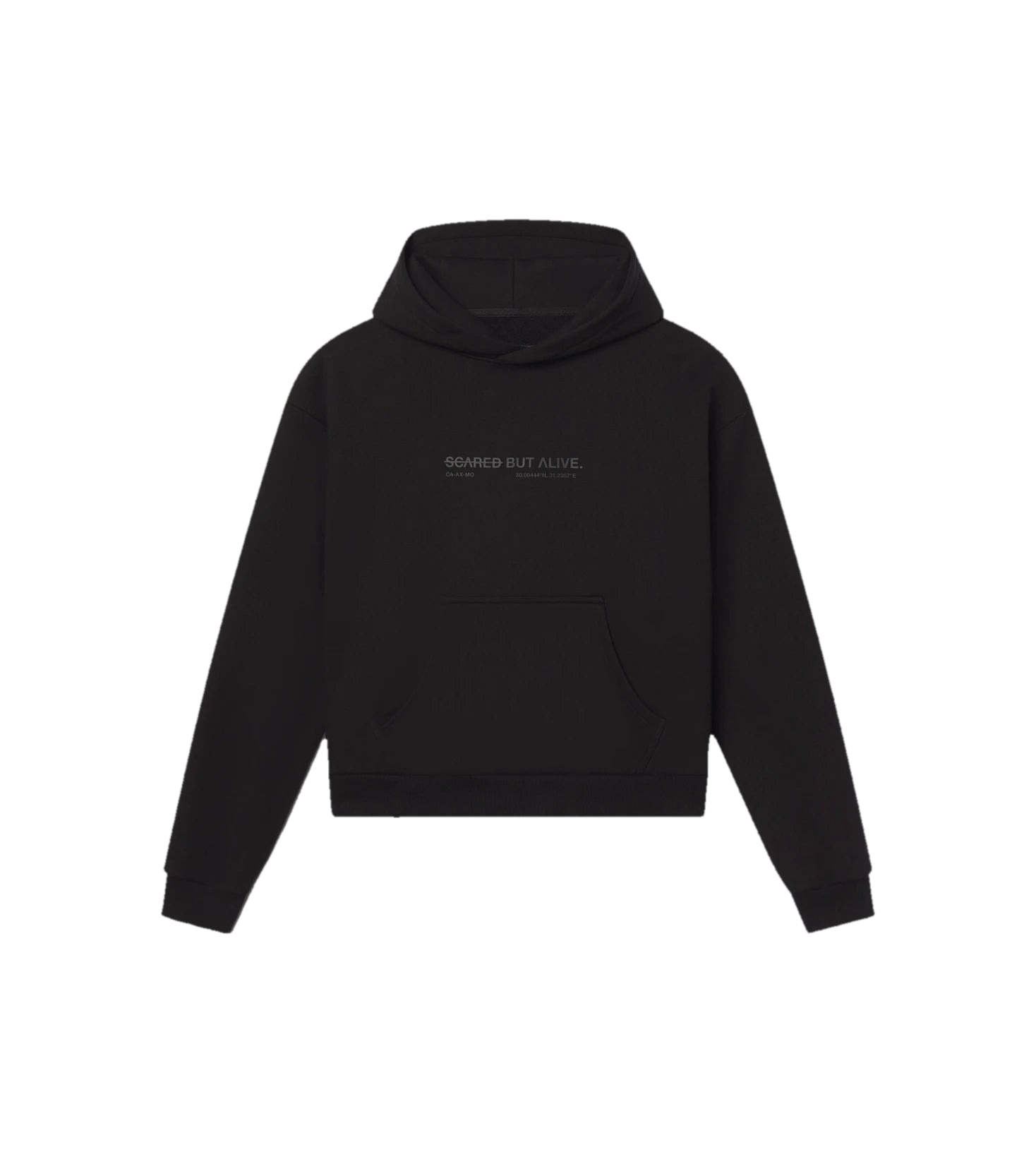 Los Angeles Hoodie Black Out front flat lay