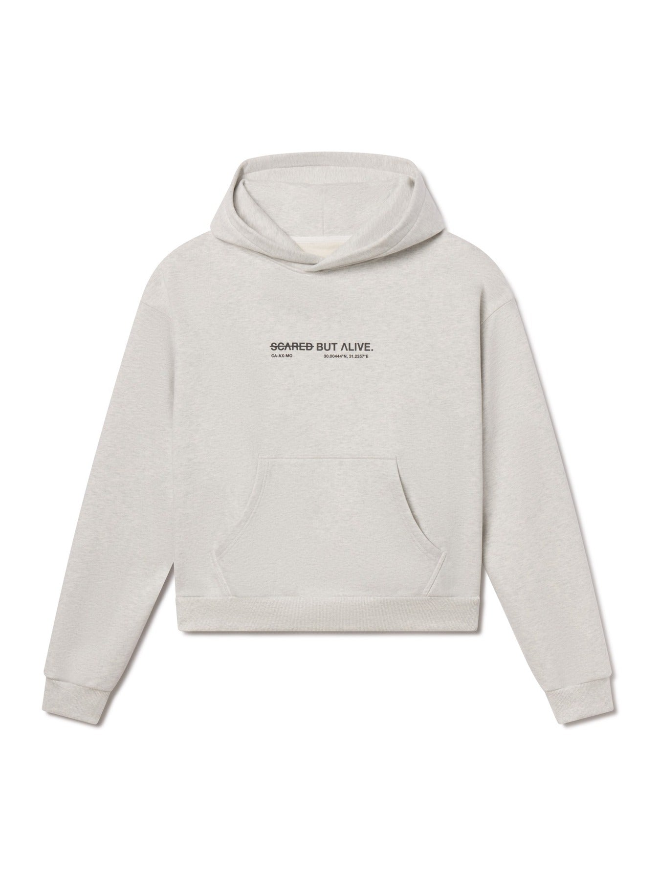 Los Angeles Hoodie Gray Matter